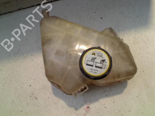 Used Expansion tank FORD FIESTA VI (CB1, CCN) 1.25 (82 hp) 21927942