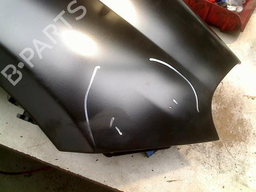 Right front fenders FIAT GRANDE PUNTO (199_) 1.2 | BP21932931C42 