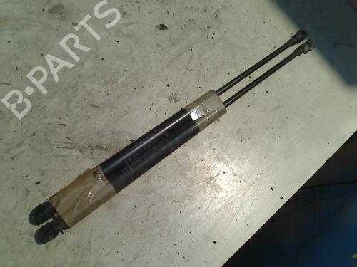 Used Tailgate lift support FIAT PUNTO EVO (199_) 1.3 D Multijet (84 hp) 21918694