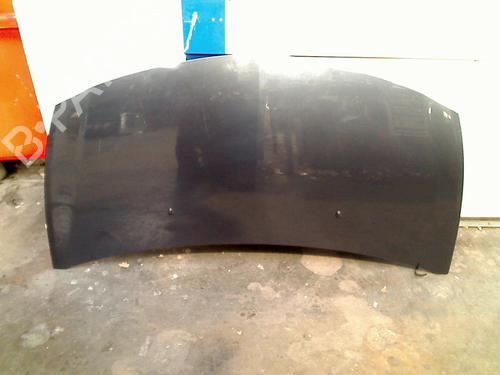 Used Hood RENAULT CLIO III (BR0/1, CR0/1) 1.5 dCi (BR0H, CR0H, CR1S, BR1S) (106 hp) 21918529