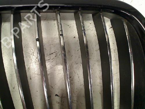 Grille BMW 3 (E90) 320 i | BP21918809C40 