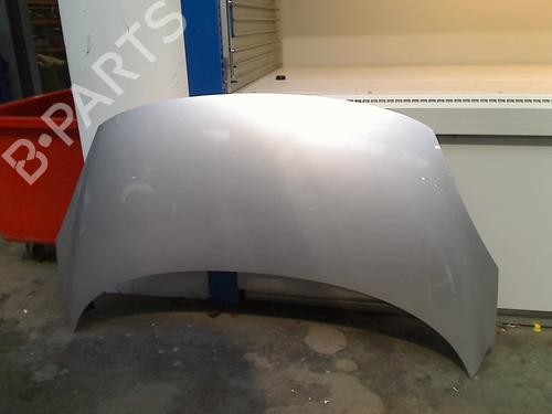 Used Hood RENAULT SCÉNIC III (JZ0/1_) 1.5 dCi (106 hp) 21913063