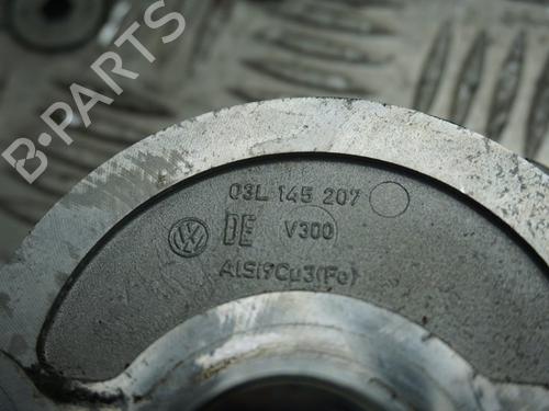 Vacuum pump VW POLO V (6R1, 6C1) 1.2 TDI | BP23028689M80 