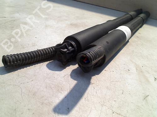 Tailgate lift support BMW 3 Touring (F31) 316 d | BP21918859C138