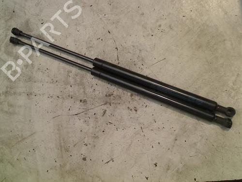 Used Tailgate lift support FIAT PANDA (169_) 1.2 (169AXF2A, 169AXF1A) (69 hp) 21928301