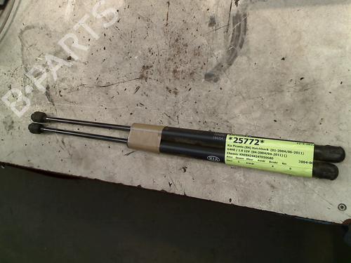 Used Tailgate lift support KIA PICANTO I (SA) 1.0 (61 hp) 21929964