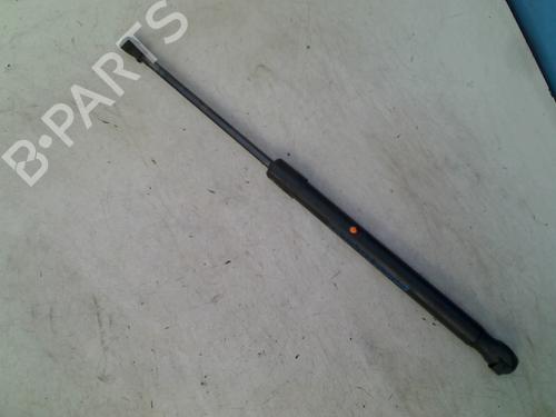 Used Hood lift support VW TOURAN (1T1, 1T2) 1.6 FSI (115 hp) 21919944