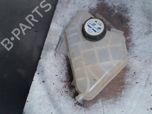 Used Expansion tank FORD FIESTA VI (CB1, CCN) 1.4 LPG (97 hp) 21941814