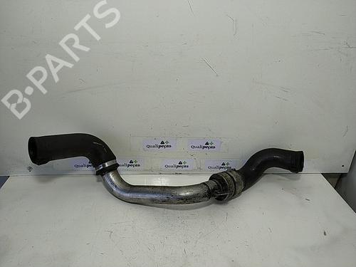 Used Other RENAULT MEGANE II (BM0/1_, CM0/1_) [2001-2012]  21631012