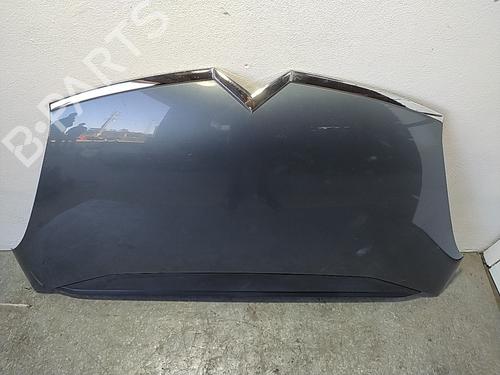 Hood CITROËN C4 Grand Picasso I (UA_)  | BP21632053C1