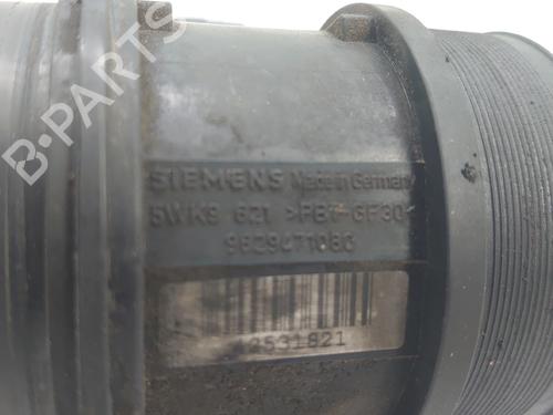 Luftmassemåler CITROËN BERLINGO MULTISPACE (B9) | BP31725880M95