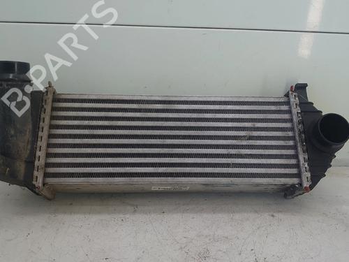 Intercooler Intercooler RENAULT KANGOO Express (FW0/1_) [2008-2026] 34266030 34266030