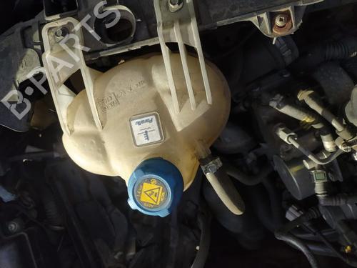 Deposito expansion FIAT PUNTO EVO Hatchback Van (199_) 1.3 D Multijet (199.AXT1A, 199.AXC1A) (75 hp) 31255236