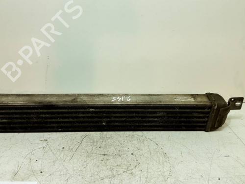 Intercooler OPEL MERIVA A MPV (X03) | BP21625608M30