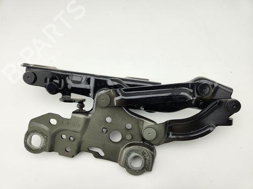 Hinge/Door check strap BMW 3 (G20, G80, G28) 330 d xDrive | BP29290149C146 