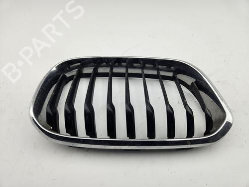 grille-bmw-1-f20-2011-2012-2013-2014-2015-2016-2017-2018-2019-29856130 main image
