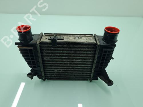 Ladeluftkühler für RENAULT CLIO III (BR0/1, CR0/1) [2005-2014]  21642534