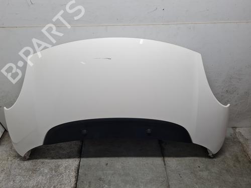 hood-fiat-500l-351_-352_-2012-23126751 main image