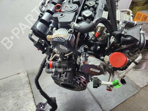 Motor HYUNDAI i20 III (BC3, BI3) 1.6 T-GDi N | BP29722522M1 