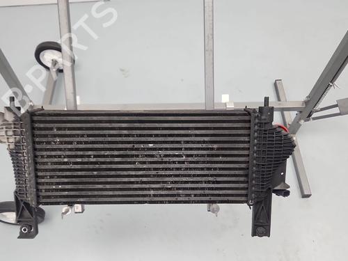 Intercooler NISSAN PATHFINDER III (R51) | BP36161986M30 - Image 3