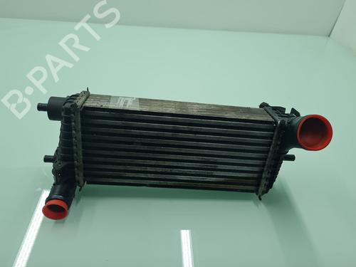 Used Intercooler Intercooler FORD FOCUS III 1.6 TDCi (115 hp) 21641678 21641678