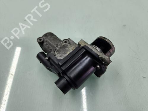 Egr AUDI A3 (8P1) 1.9 TDI | BP25339463M69 