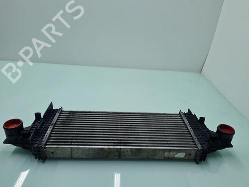 Used Intercooler Intercooler MERCEDES-BENZ M-CLASS (W164) [2005-2012] 21637328 21637328