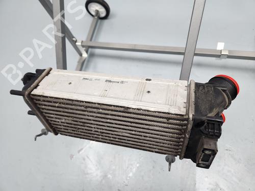 Ladeluftkühler DS DS 4 / DS 4 CROSSBACK (NX_)  | BP29722617M30 