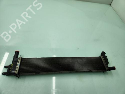 Used Water radiator Water radiator RENAULT EXPRESS Box Body/MPV [2021-2026] 24126323 24126323