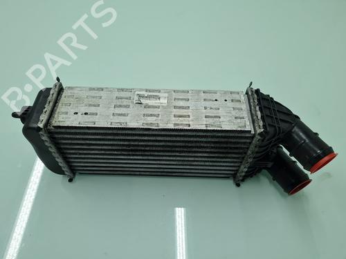 Used Intercooler Intercooler CITROËN C3 Picasso (SH_) [2008-2026] 21648038 21648038