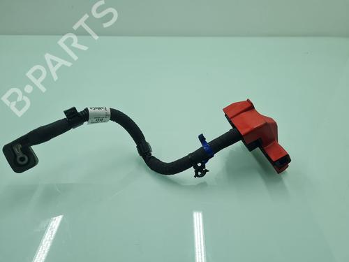 Used Wiring harness Wiring harness FORD RANGER (TKE) 2.0 EcoBlue 4x4 (170 hp) 21764721 21764721