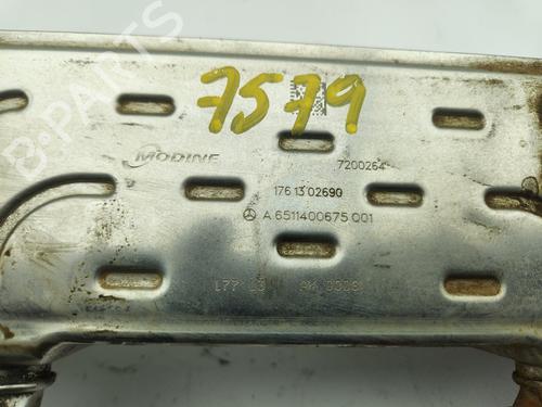 Egr MERCEDES-BENZ SPRINTER 3,5-t Van (B906)  | BP30352159M69 