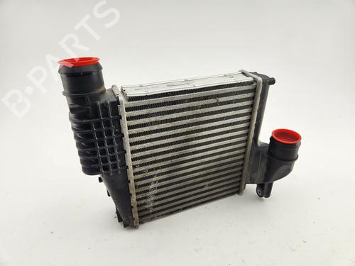 Intercooler DS DS 7 Crossback (J4_, JR_, JC_)  | BP29435974M30 