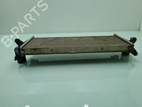 Intercooler LAND ROVER DEFENDER Station Wagon (L316, L315) 2.5 Td5 4x4 (L316) | BP21652779M30 