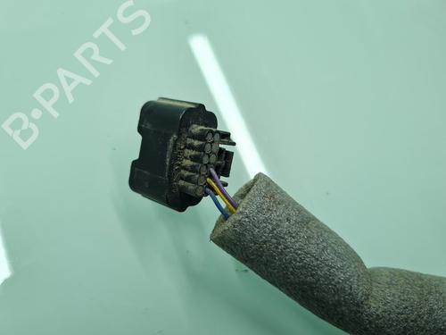 Left mirror NISSAN PATHFINDER III (R51)  | BP21642543C26 