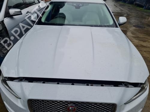 hood-jaguar-xe-x760-20-d-2015-21644424 main image
