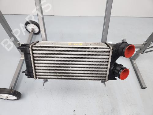 Ladeluftkühler für CITROËN C4 II (NC_) [2009-2026]  31338465