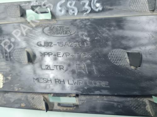 Grille LAND ROVER RANGE ROVER EVOQUE (L551)  | BP21653422C40 