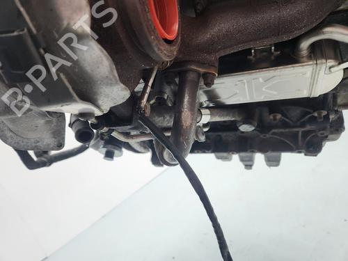Engine AUDI A3 (8P1)  | BP33543313M1  - Image 6