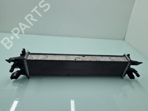 intercooler-ford-kuga-ii-dm2-f1f18d048ab-2012-21766404 main image