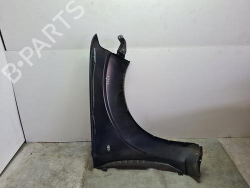 Left front fenders NISSAN PATHFINDER III (R51)  | BP21649082C41 