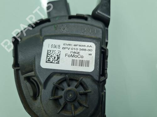 Pedal FORD FOCUS III  | BP21650669I4 