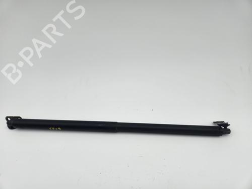 Used Tailgate lift support Tailgate lift support FORD KUGA II VAN 2.0 TDCi (120 hp) 34401362 34401362