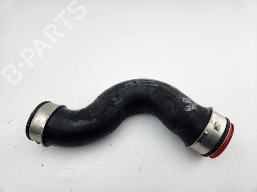 Pipe SKODA OCTAVIA II Combi (1Z5) 2.0 TFSI | BP29750738M125