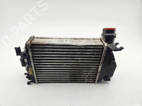 Used Intercooler Intercooler RENAULT KADJAR (HA_, HL_) 1.5 dCi 110 (HLA3) (110 hp) 29505057 29505057