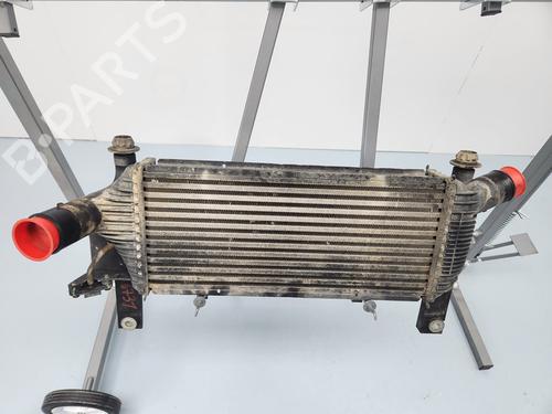 Ladeluftkühler für NISSAN NAVARA NP300 Platform/Chassis (D40) [2008-2025]  21649209