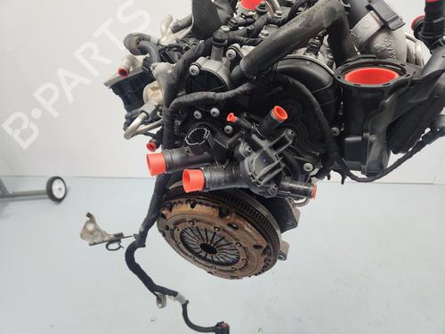 Engine SEAT ARONA (KJ7, KJP)  | BP33543315M1  - Image 7