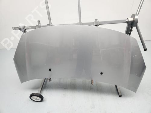 hood-citroen-c3-ii-sc_-2009-31924294 main image