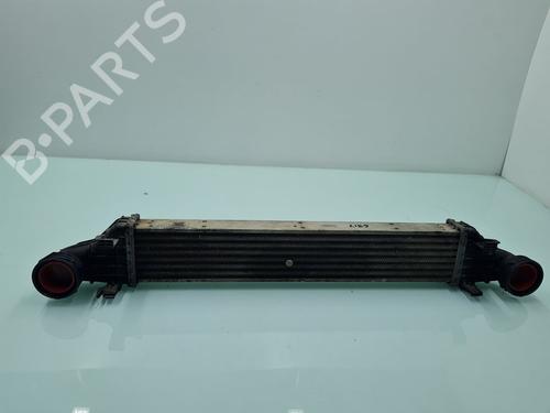 Used Intercooler Intercooler MERCEDES-BENZ E-CLASS (W211) E 220 CDI (211.006) (150 hp) 21651586 21651586