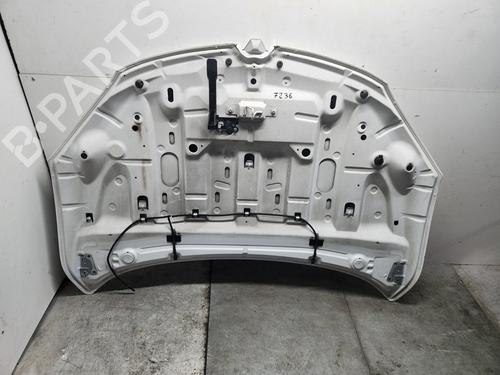 Hood RENAULT MEGANE III Hatchback (BZ0/1_, B3_) 1.5 dCi (BZ09, BZ0D, BZ1W, BZ29, BZ14) | BP22386992C1 